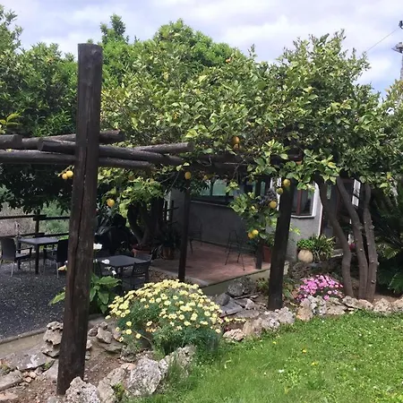 I Lamoi 팜스테이 *