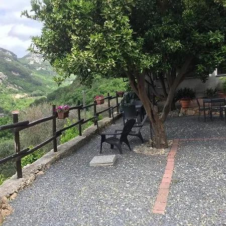 I Lamoi * 피날레리구레